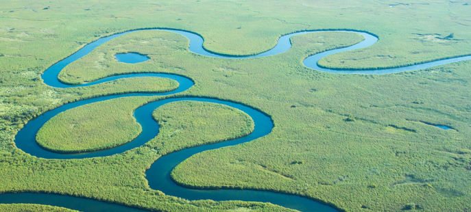 Why Do Streams Meander?