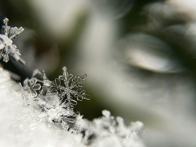 Only the best pictures of snowflakes ever