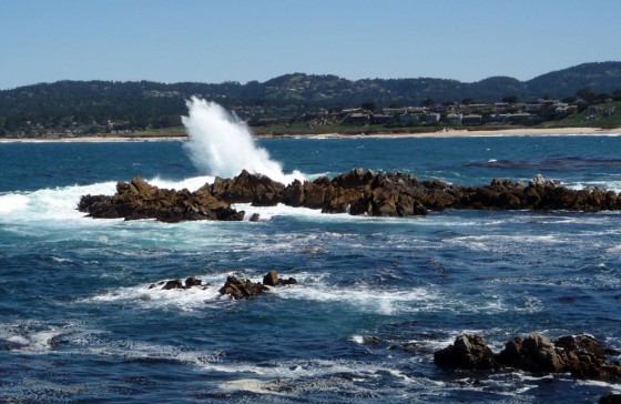 Hiking Point Lobos, a Monterey Bay Gem