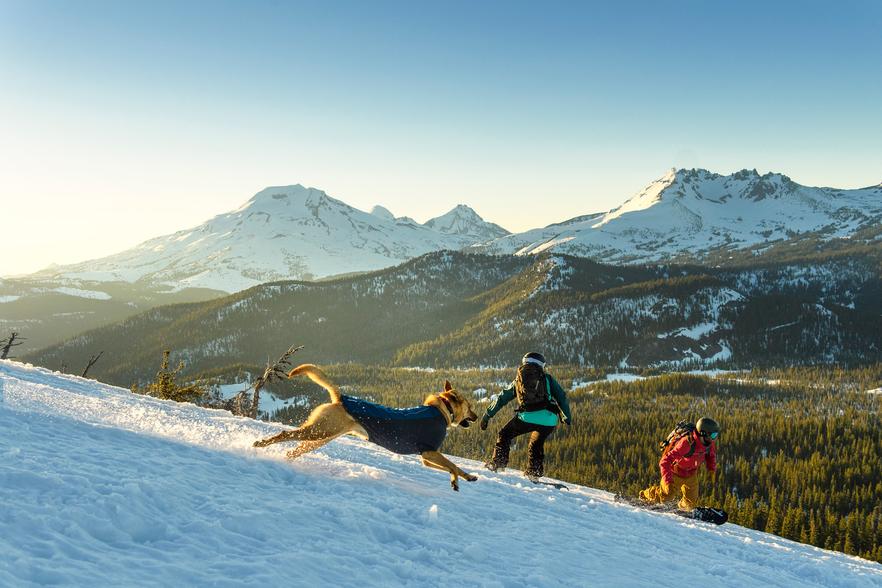 Ruff Wear Releases New Winter Gear for Dogs
