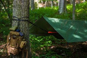 Basic Wilderness Survival Gear